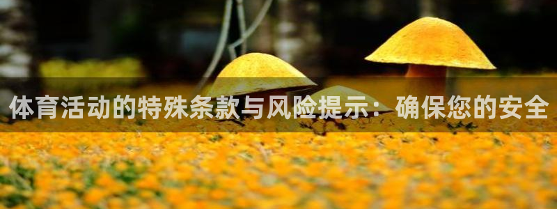 体育活动的特殊条款与风险提示：确保您的安全