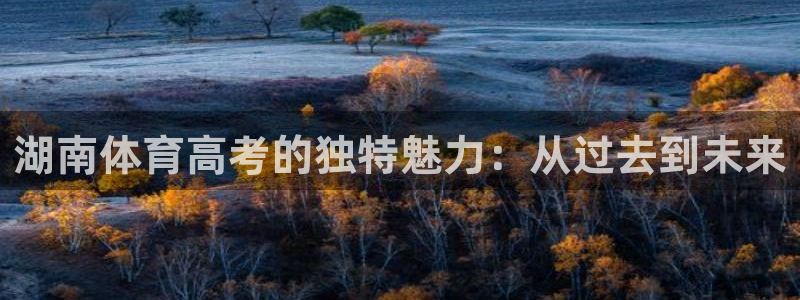 湖南体育高考的独特魅力：从过去到未来