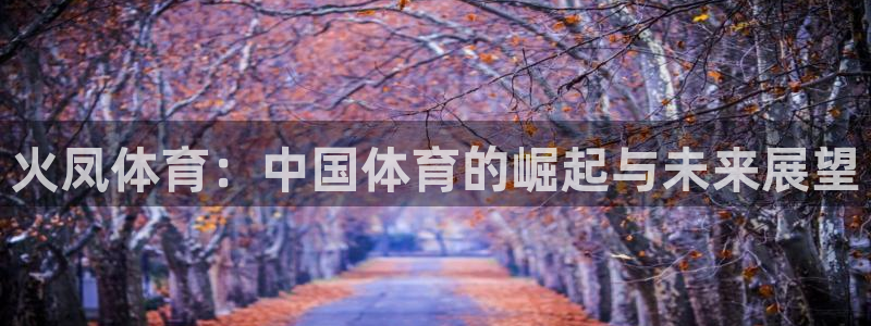 火凤体育：中国体育的崛起与未来展望