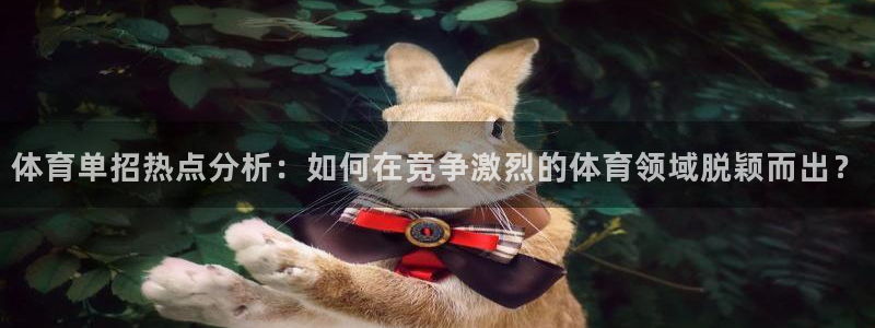 体育单招热点分析：如何在竞争激烈的体育领域脱颖而出？