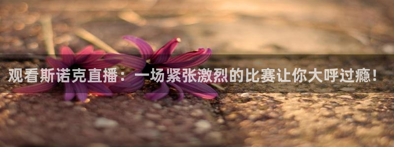观看斯诺克直播：一场紧张激烈的比赛让你大呼过瘾！