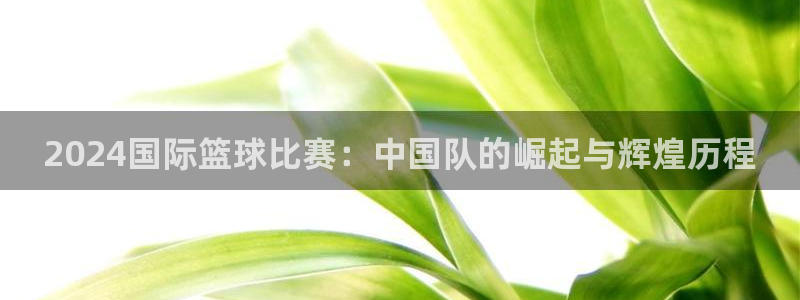 2024国际篮球比赛：中国队的崛起与辉煌历程